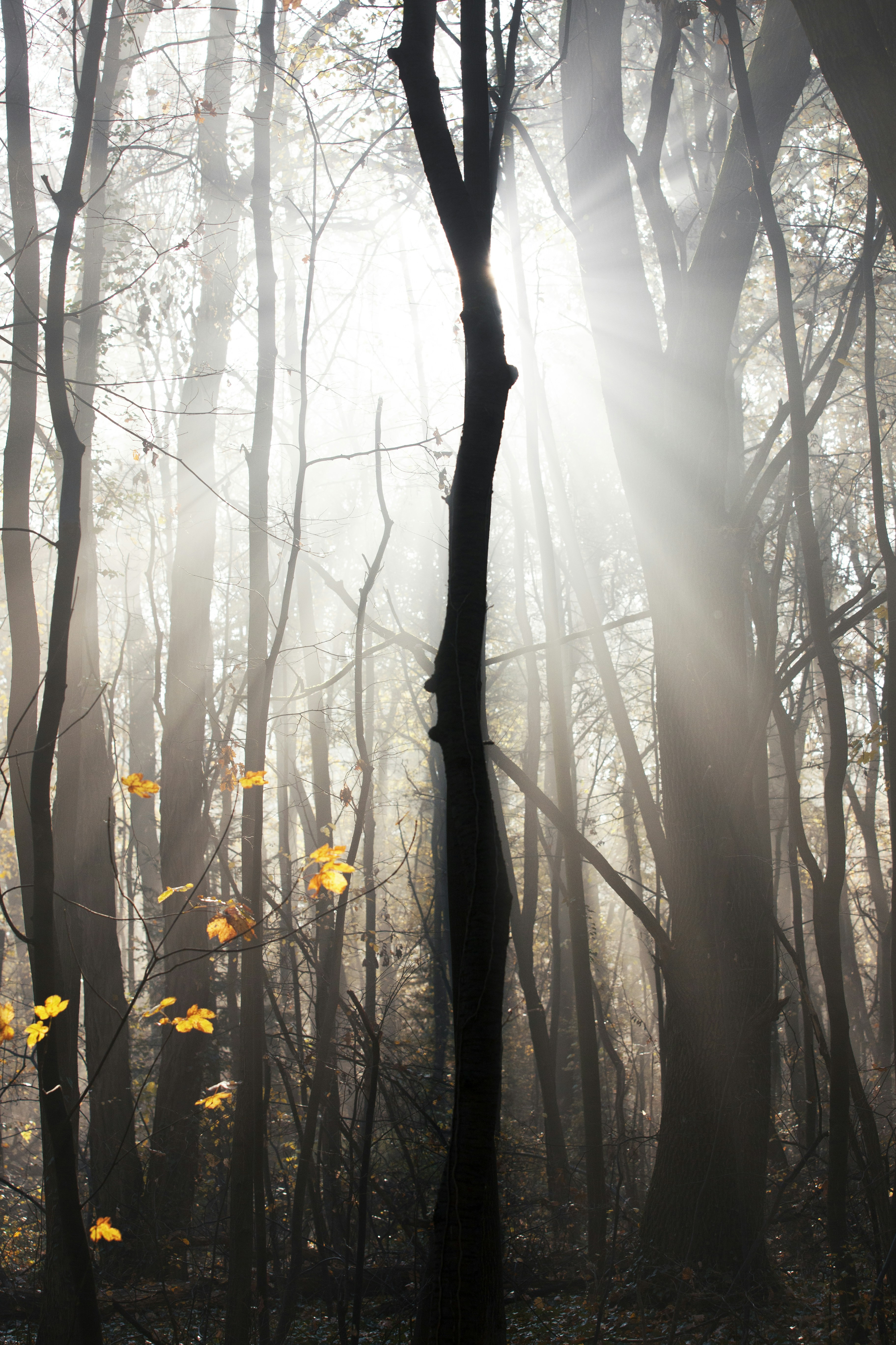 Photo by longlitsense