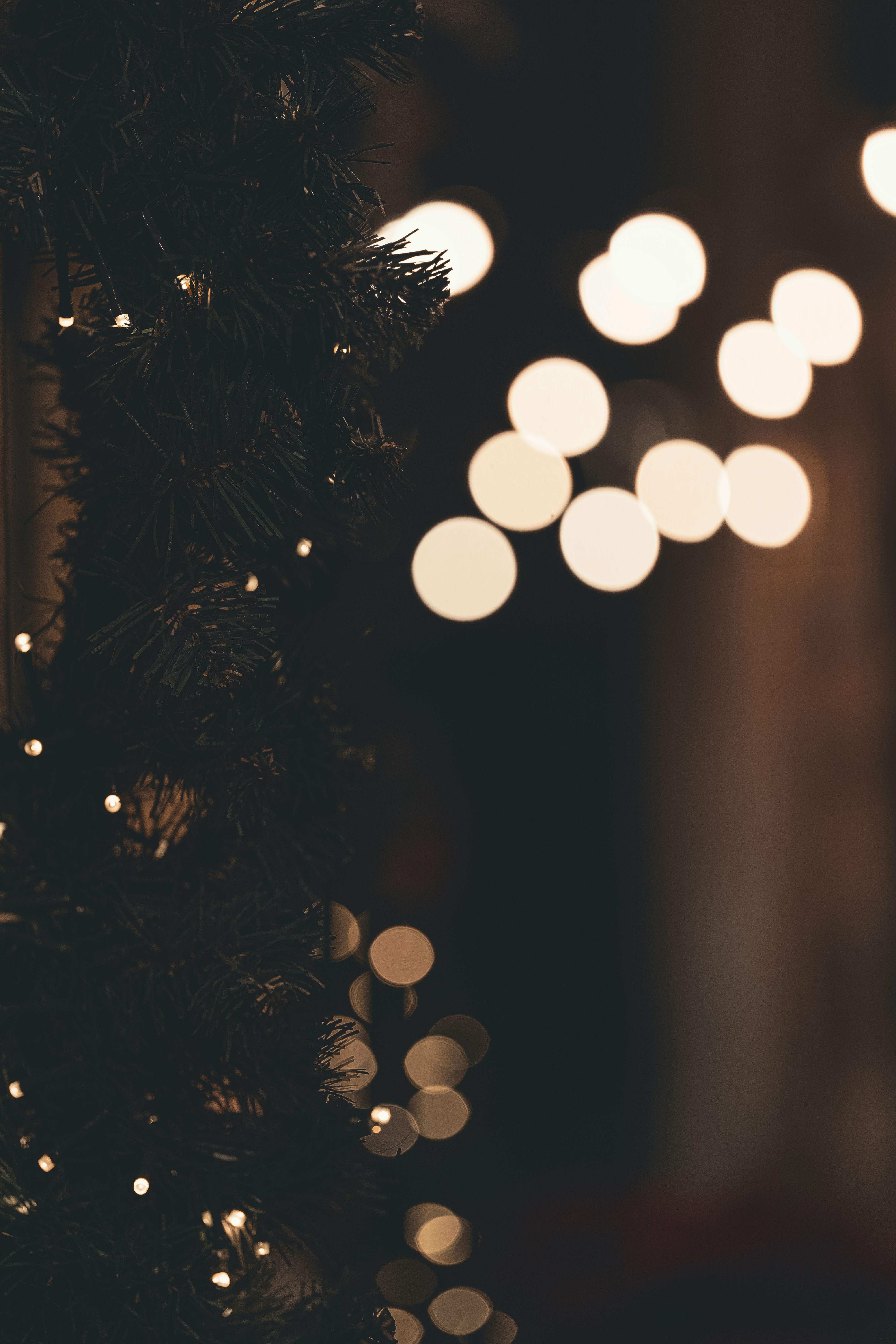 Photo by francesco_liotti