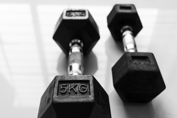 Resistance Bands vs Free Weights: When Each Makes More Sense