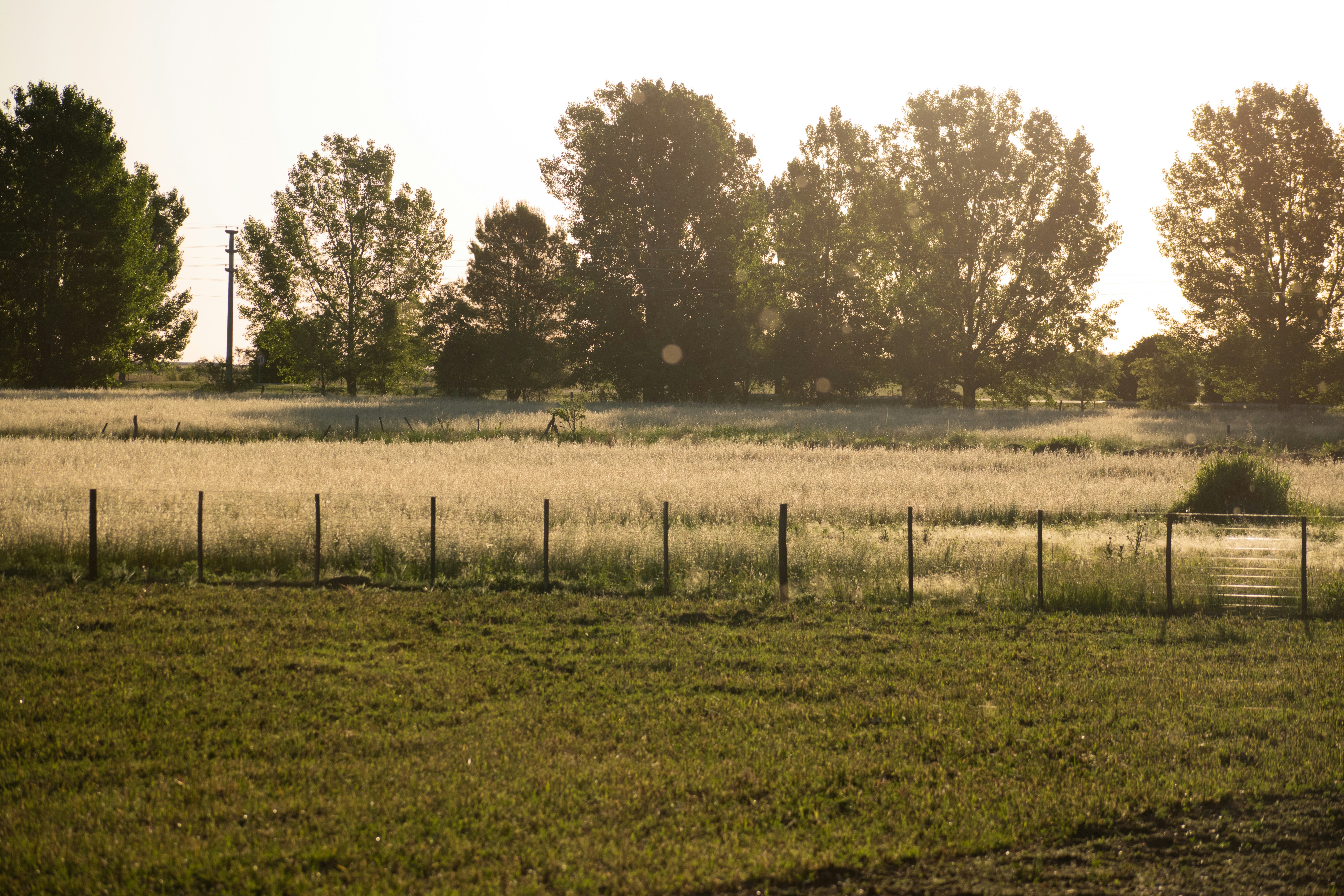 Photo by valenjphoto