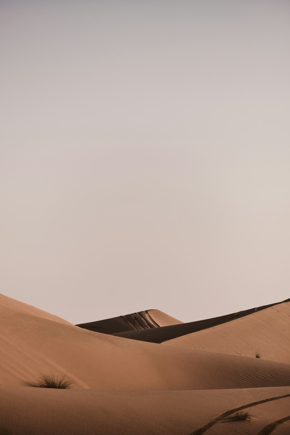 a lone tree in the middle of a desert