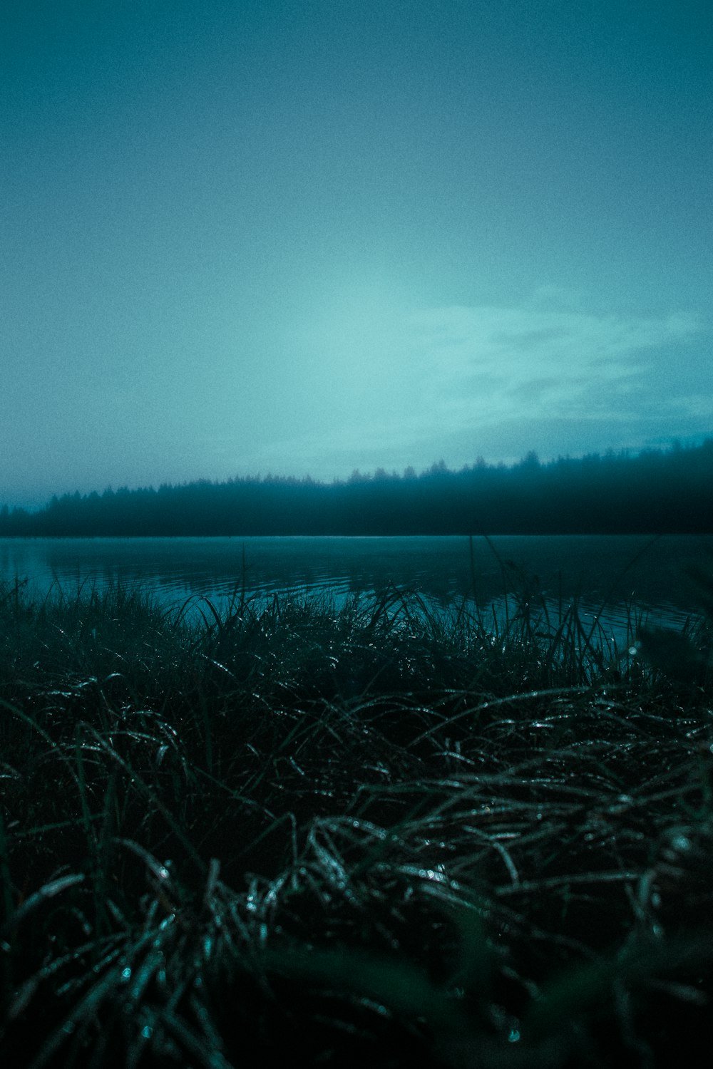 a view of a body of water with grass in the foreground