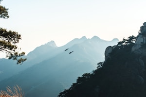 Because you work on cinematic visuals and brand storytelling, here are strong visual ideas