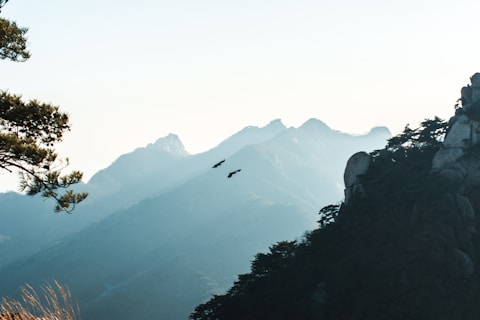 Because you work on cinematic visuals and brand storytelling, here are strong visual ideas