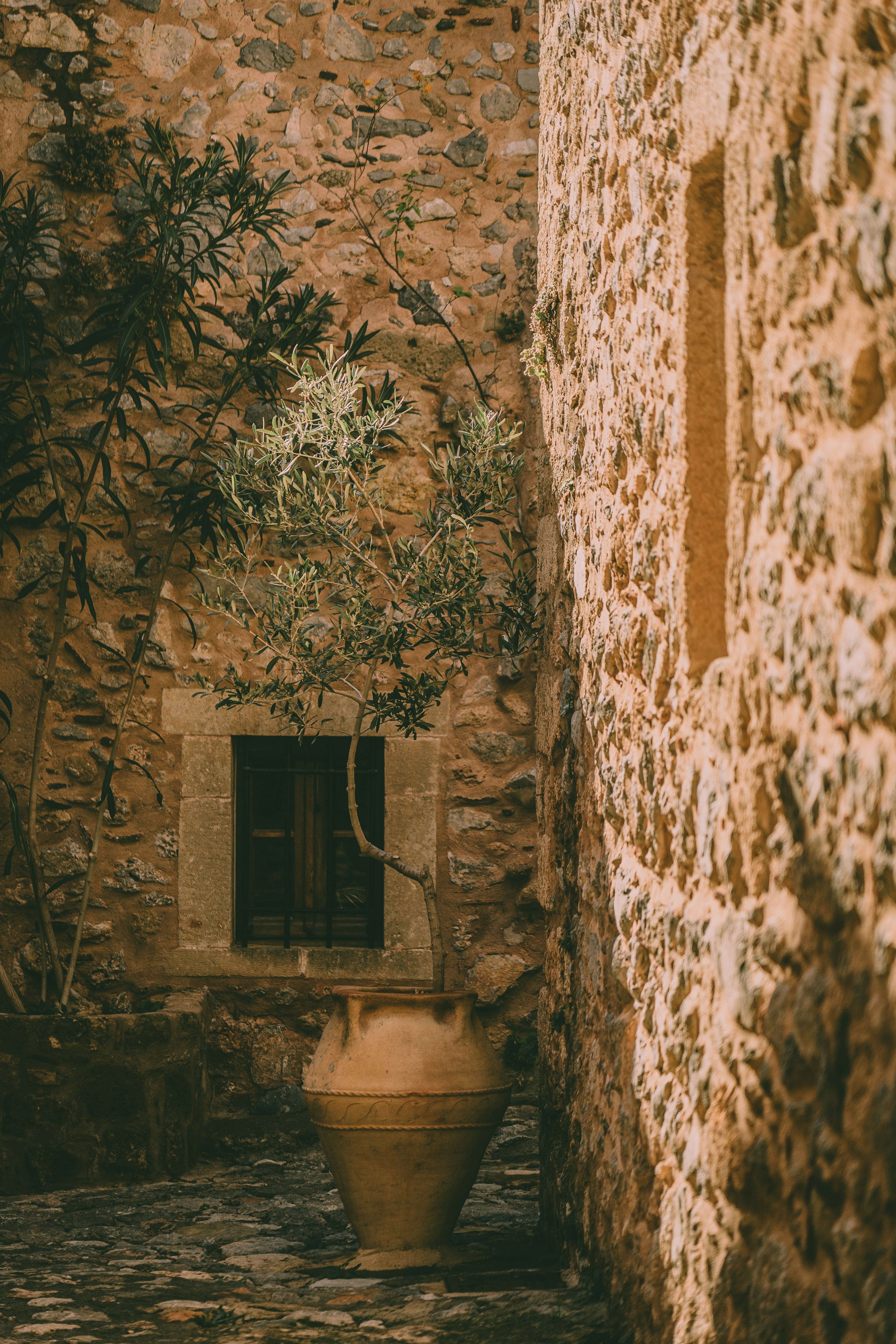 Photo by theverticalstory