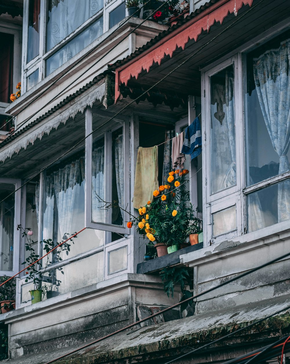 a window with flowers in a pot on the ledge