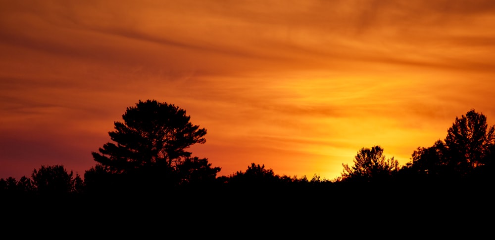 the sun is setting behind some trees