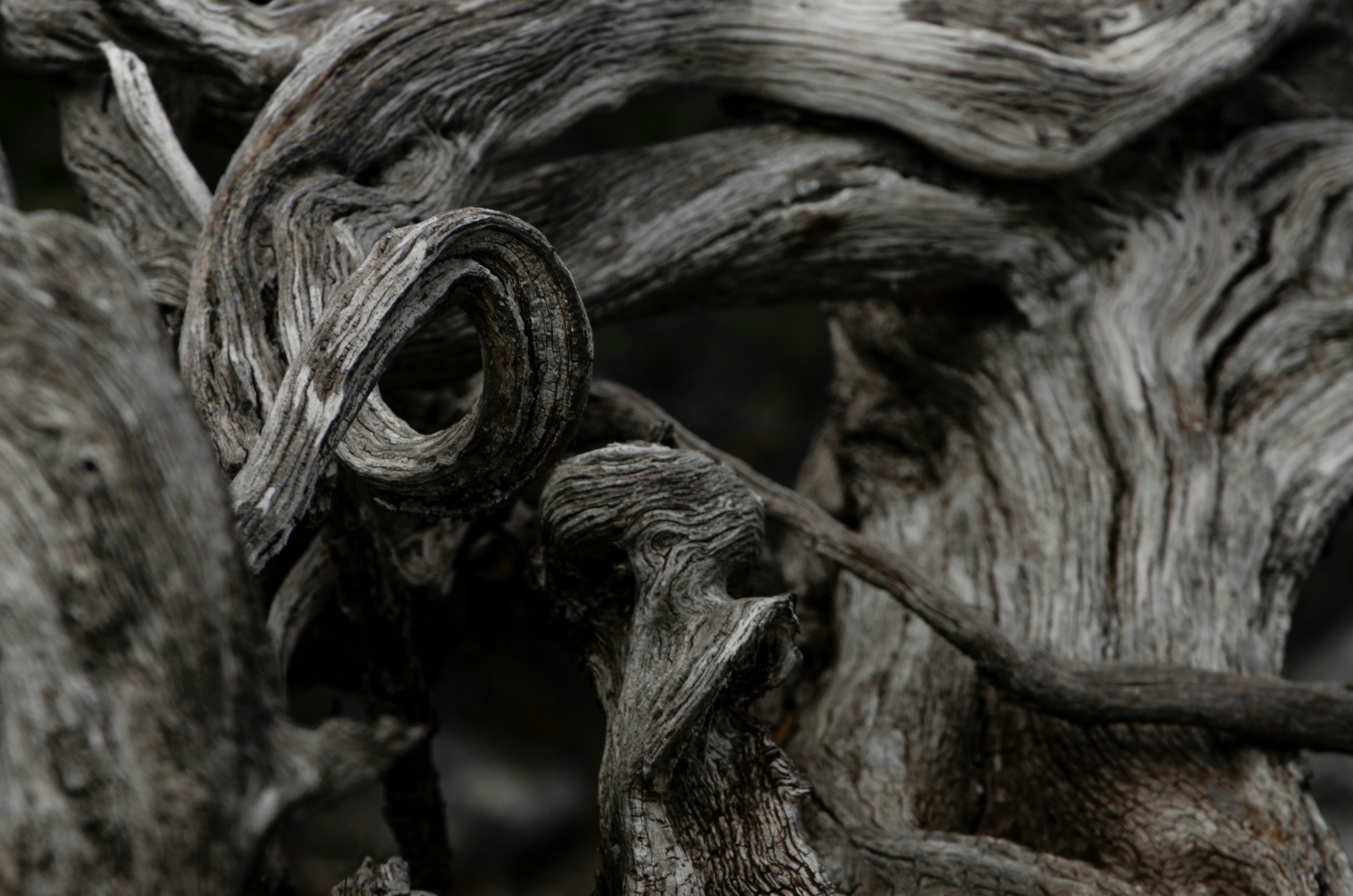 Photo by viktortalashuk