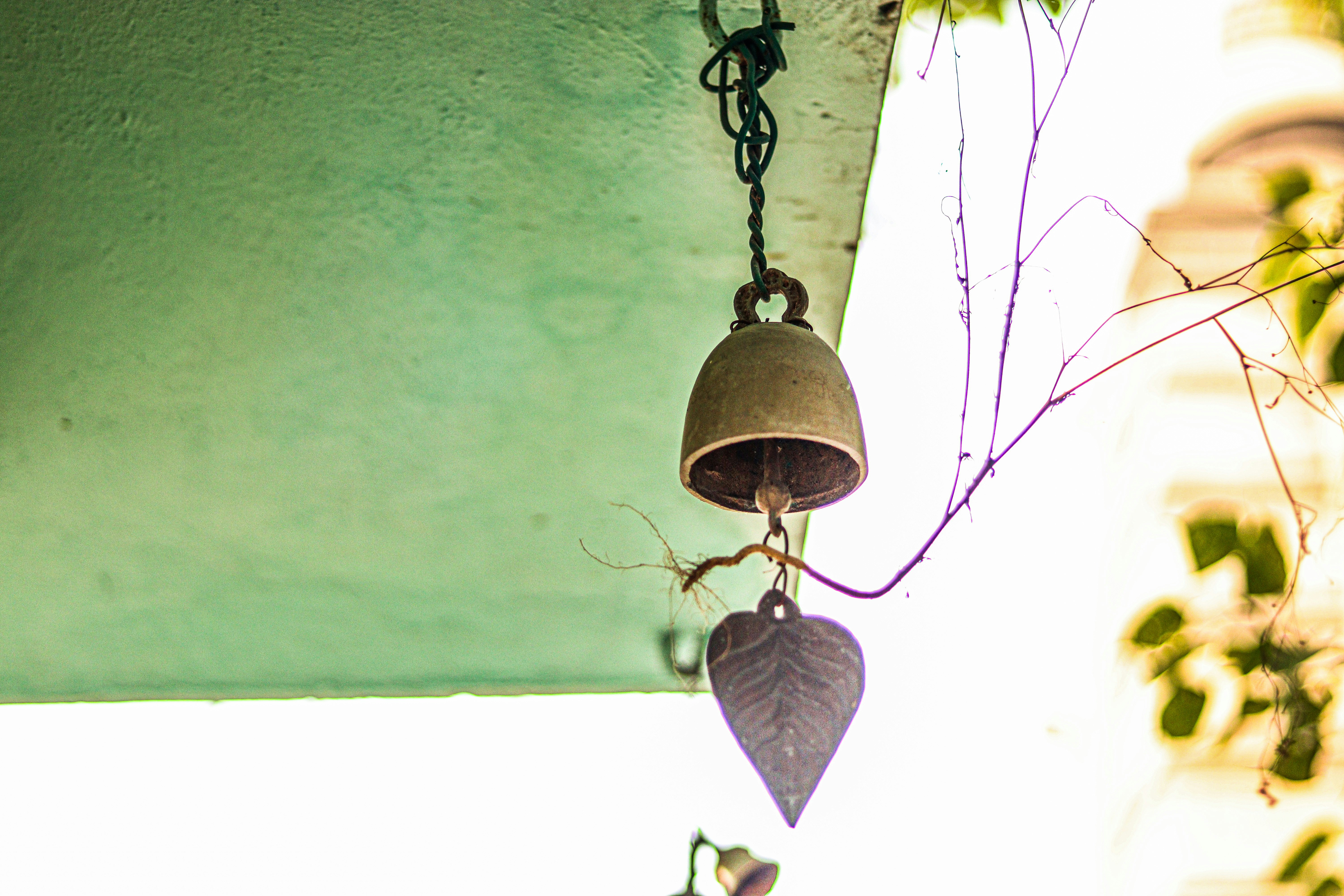 Photo by swastikarora