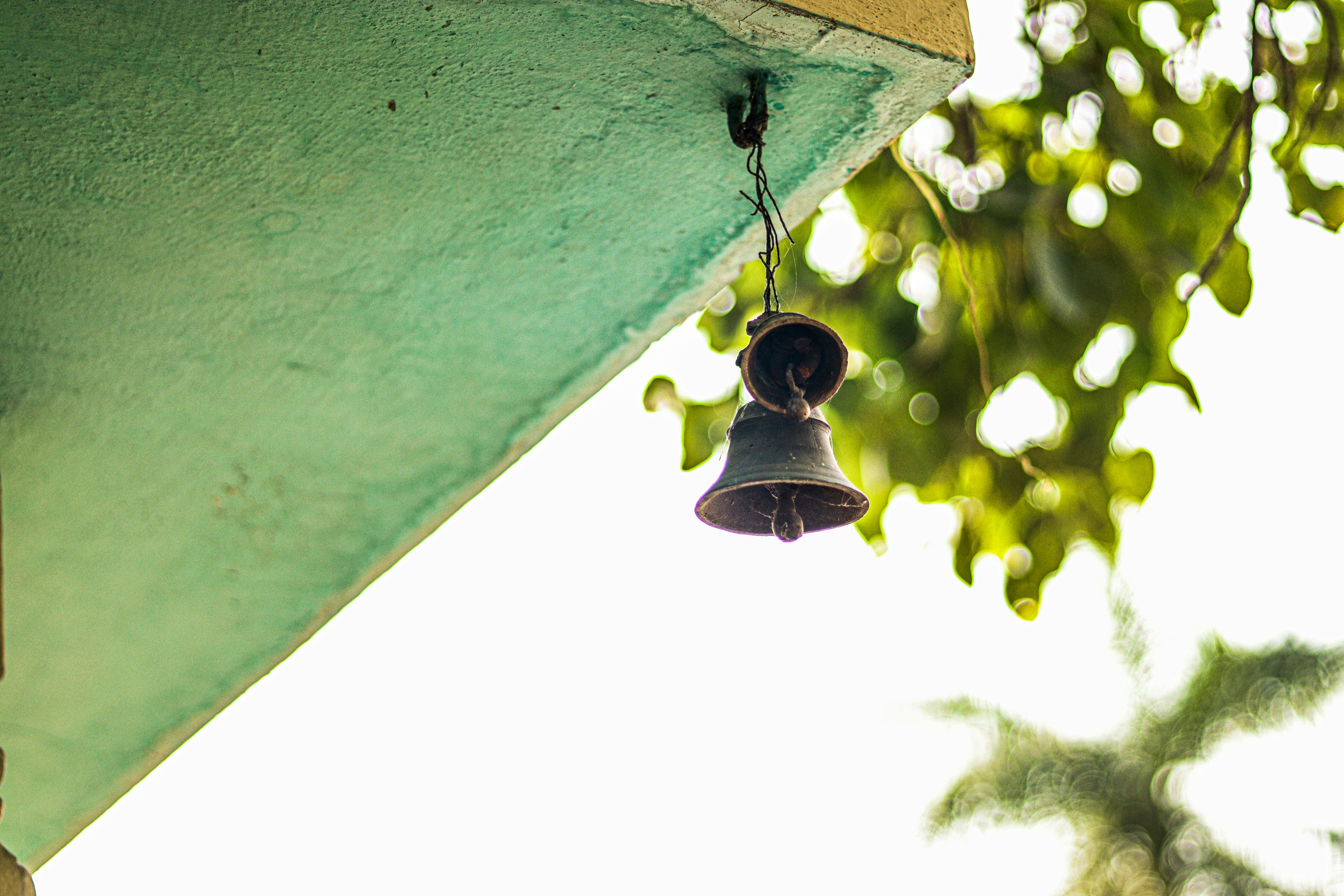 Photo by swastikarora