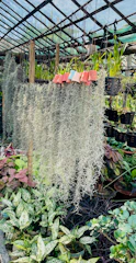 A garden area covered with durable, breathable shade mesh protecting plants from harsh sun.