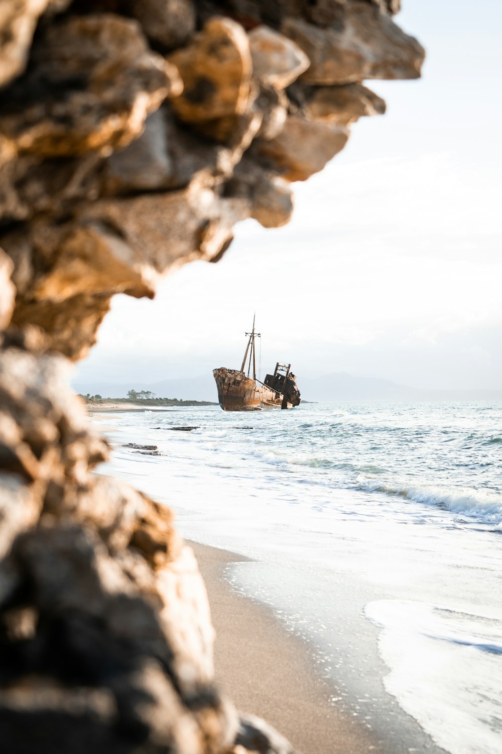 a bird sitting on a rock near the ocean