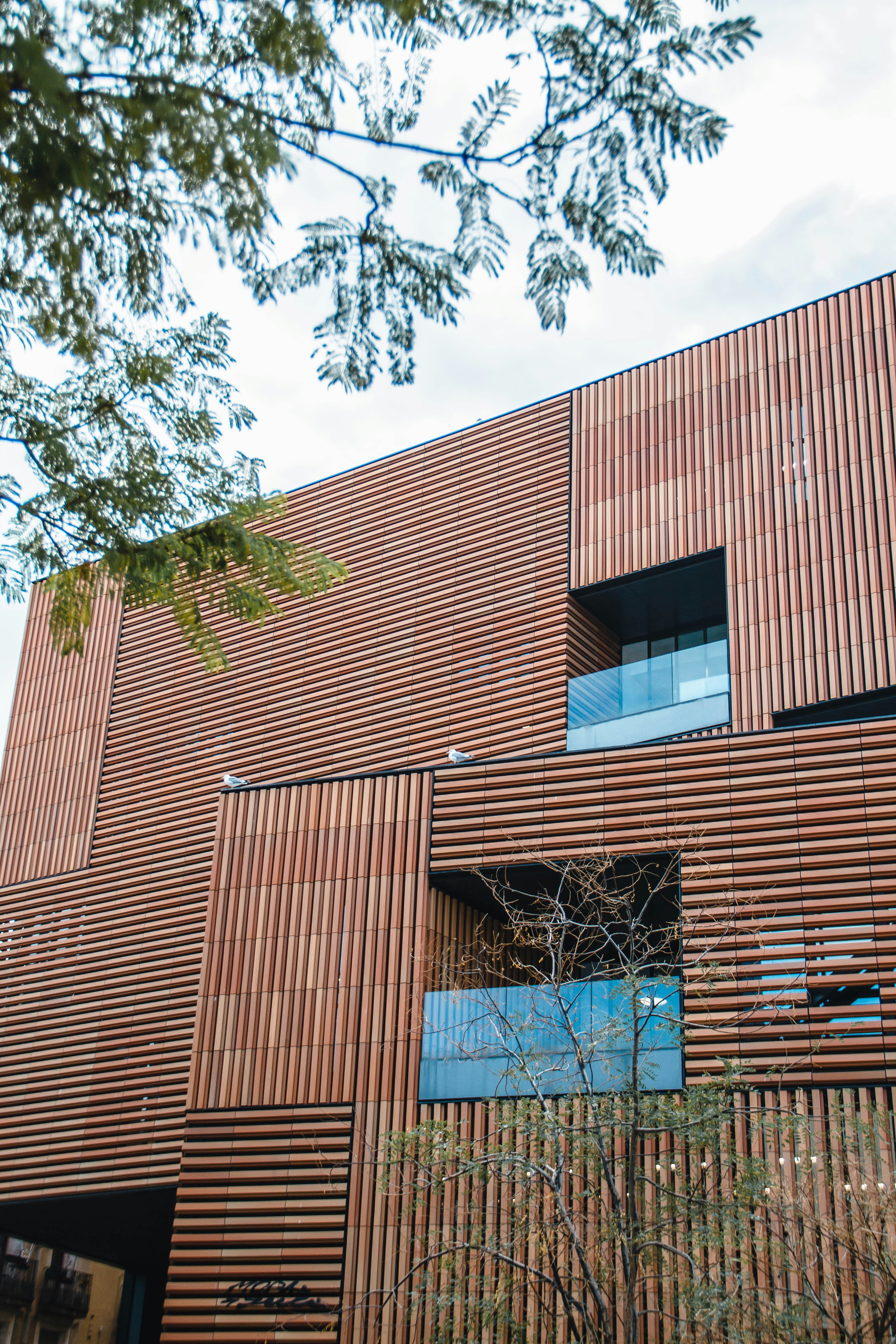 Photo by ingridmartinussen