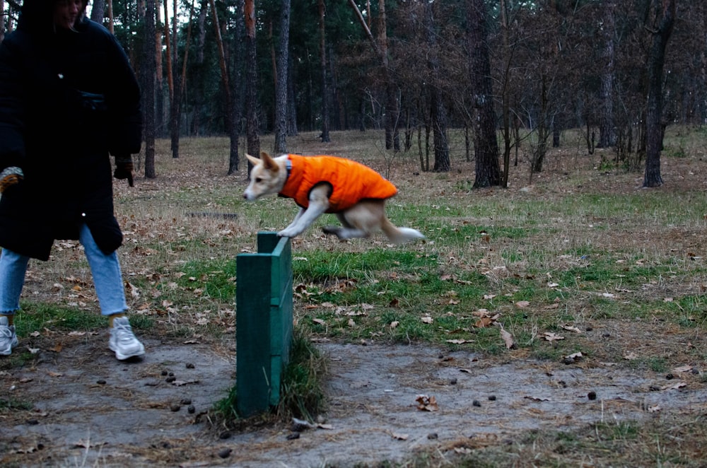 a person holding an animal