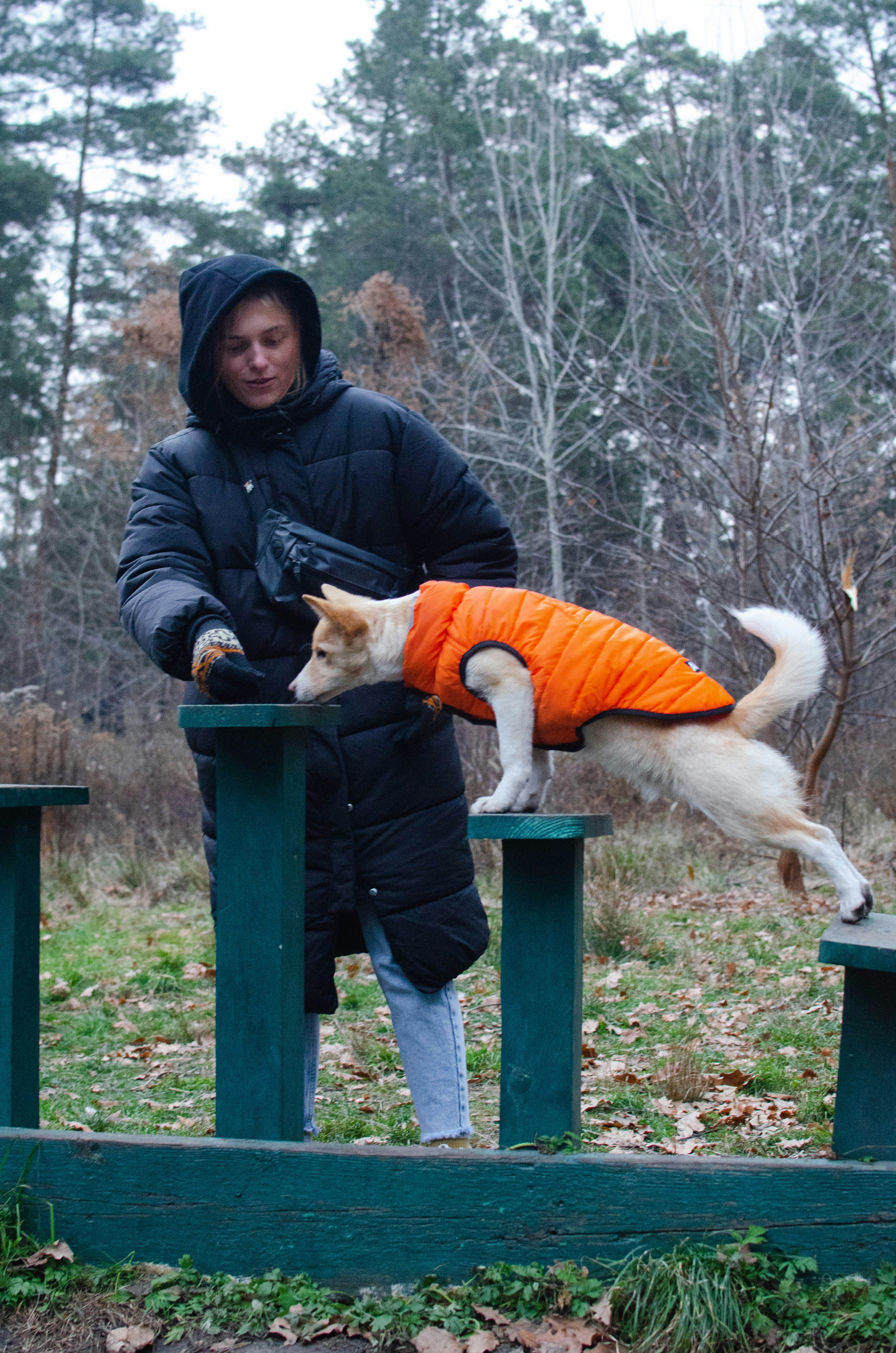 Maria Santos, pet behaviorist, working with a therapy dog in a training facility