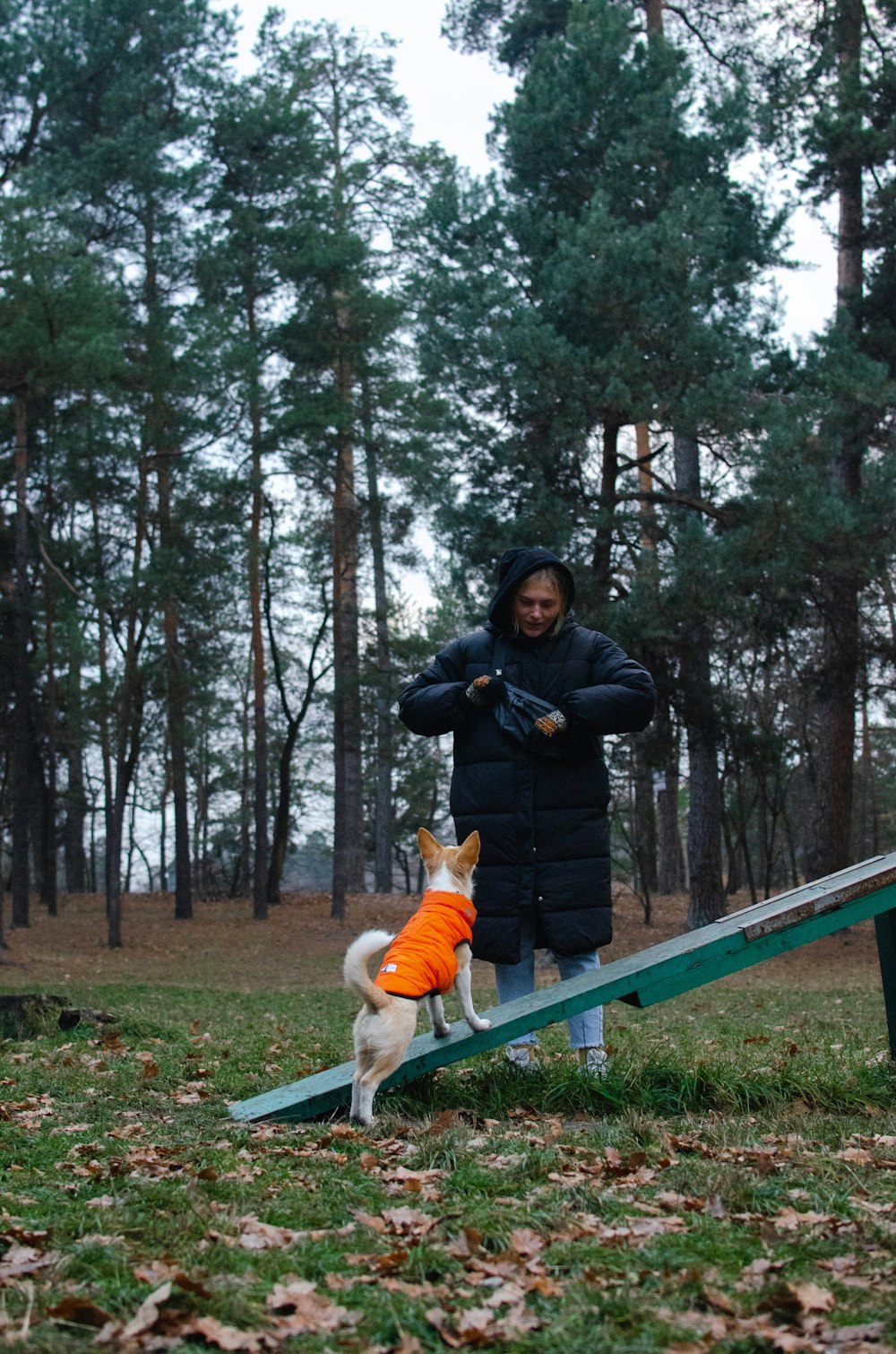 Ein Mann und sein Hund spielen im Park