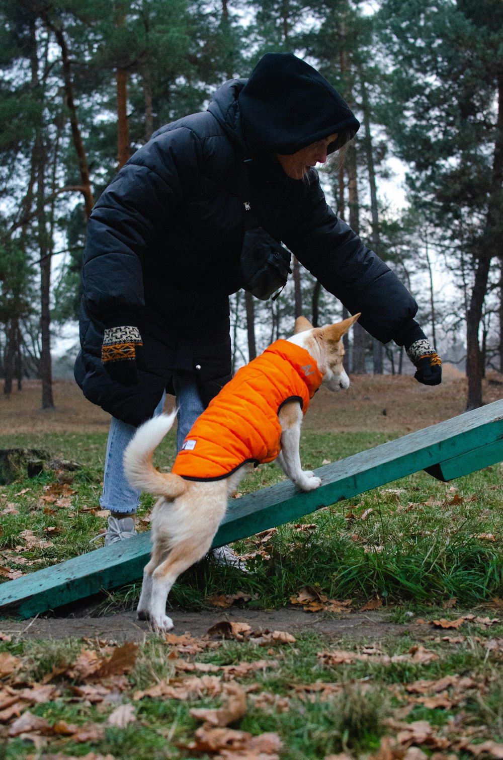 주황색 조끼를 입은 개가 경사로에 서 있다