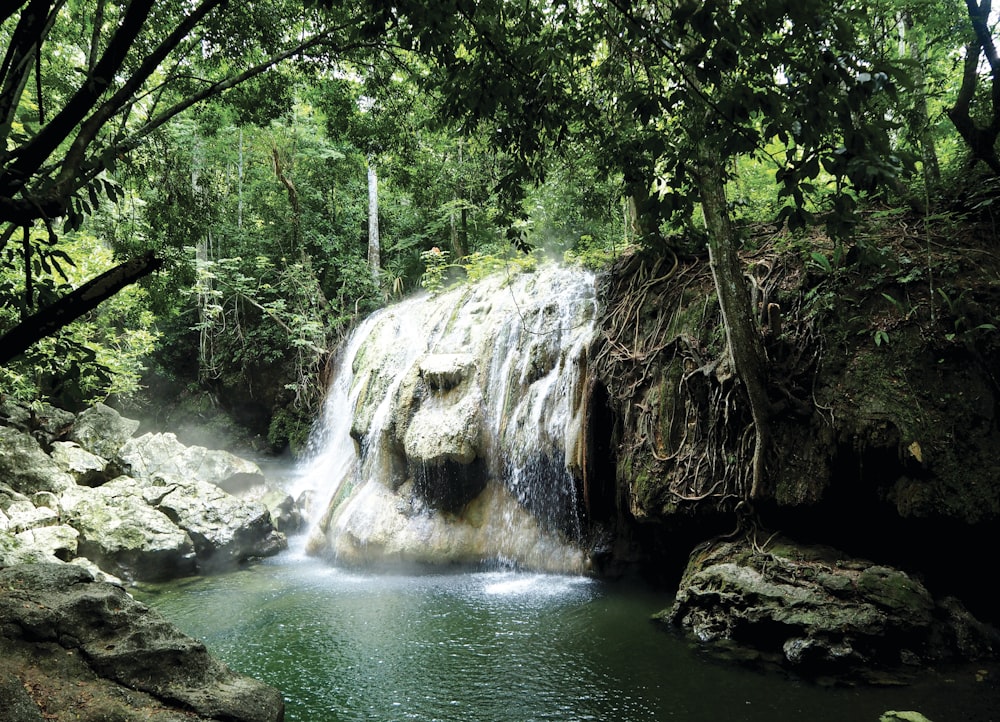 a small waterfall in the middle of a forest