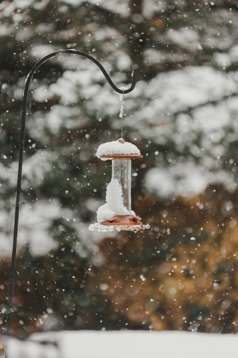 a bird feeder hanging from a pole in the snow