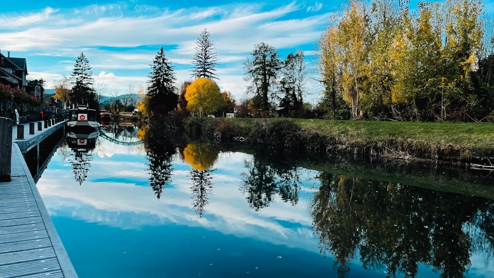 a body of water surrounded by trees and grass