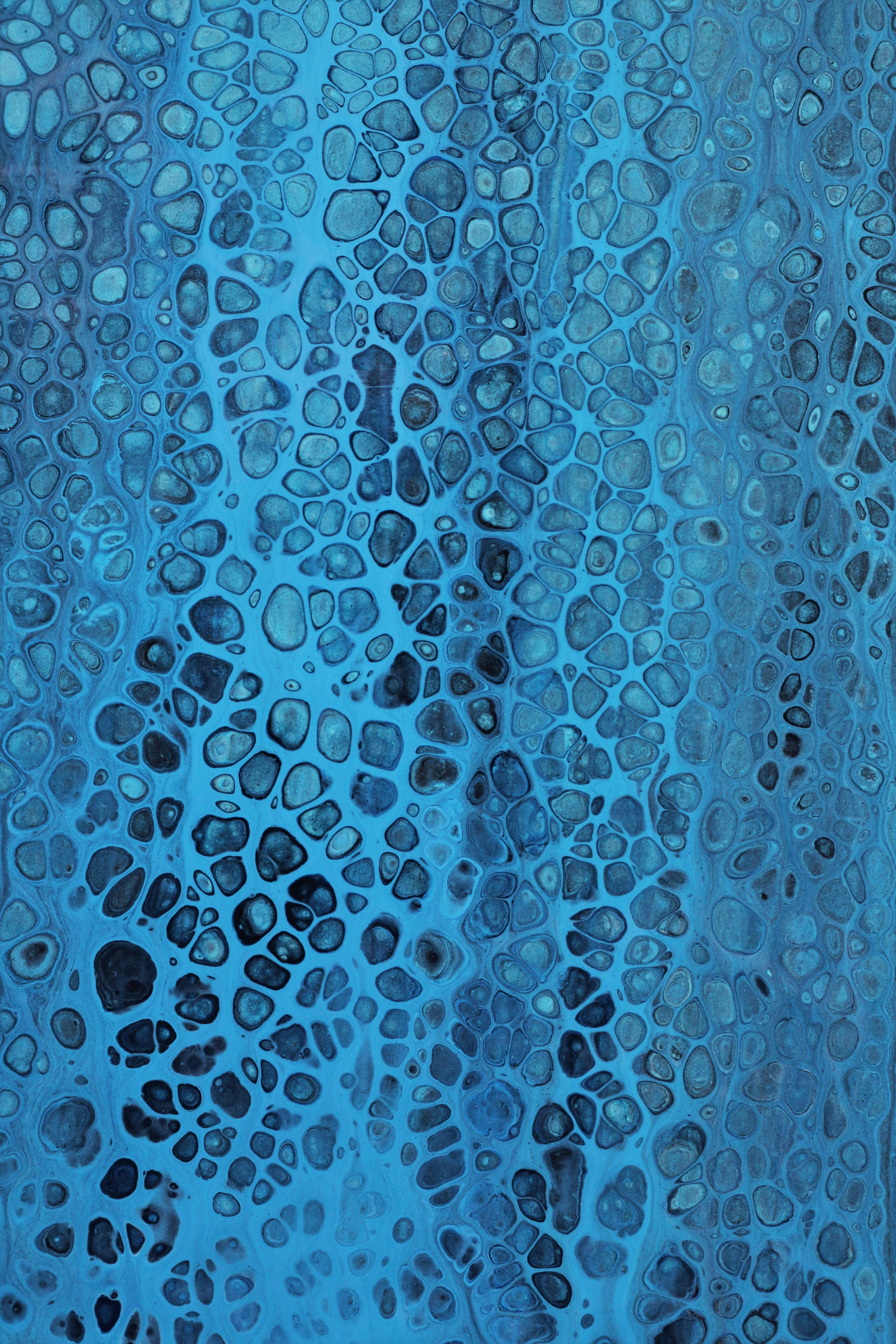 Photo by susan_wilkinson