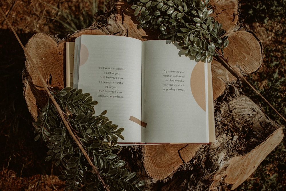 an open book sitting on top of a tree stump