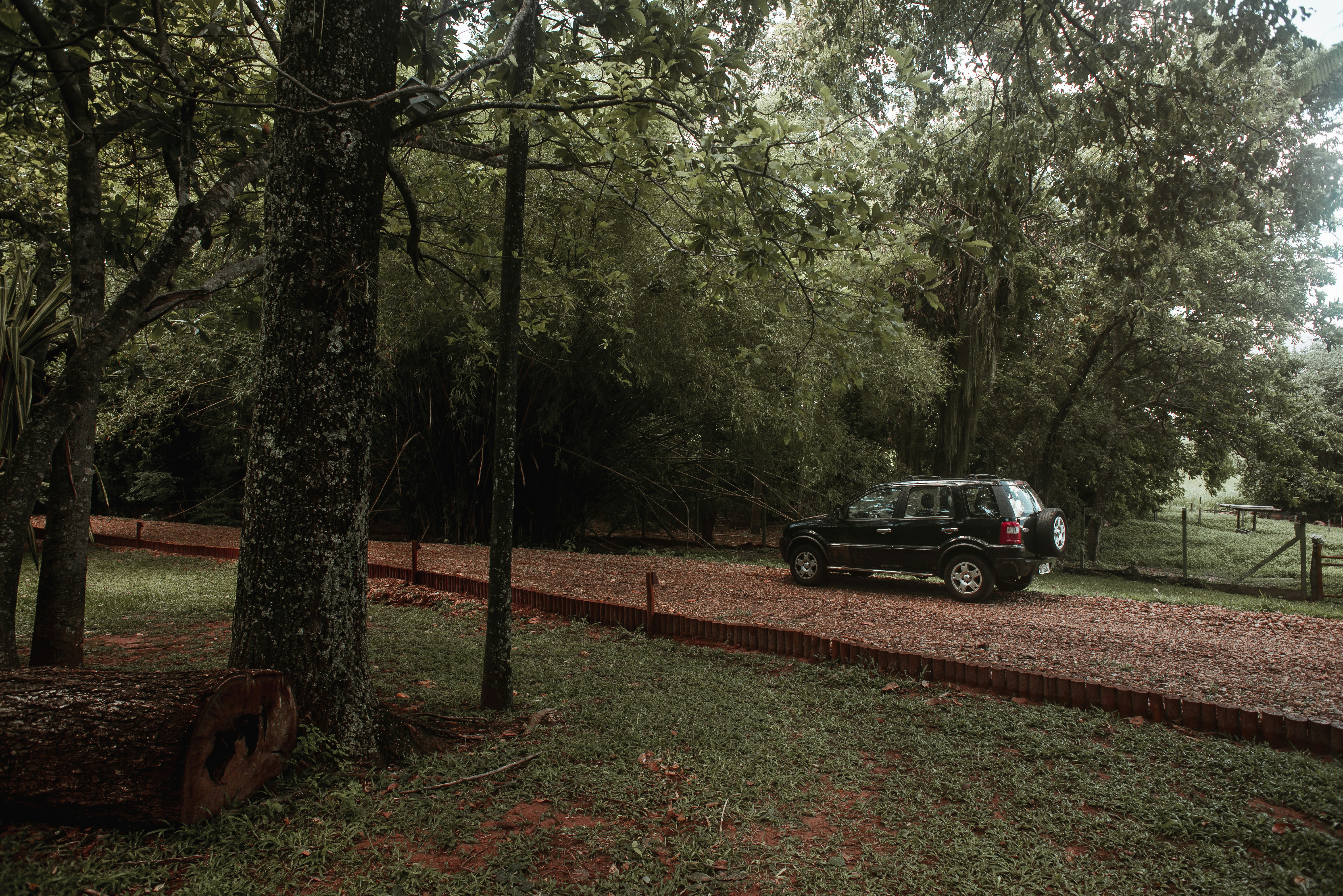 a small black car is parked in a wooded area