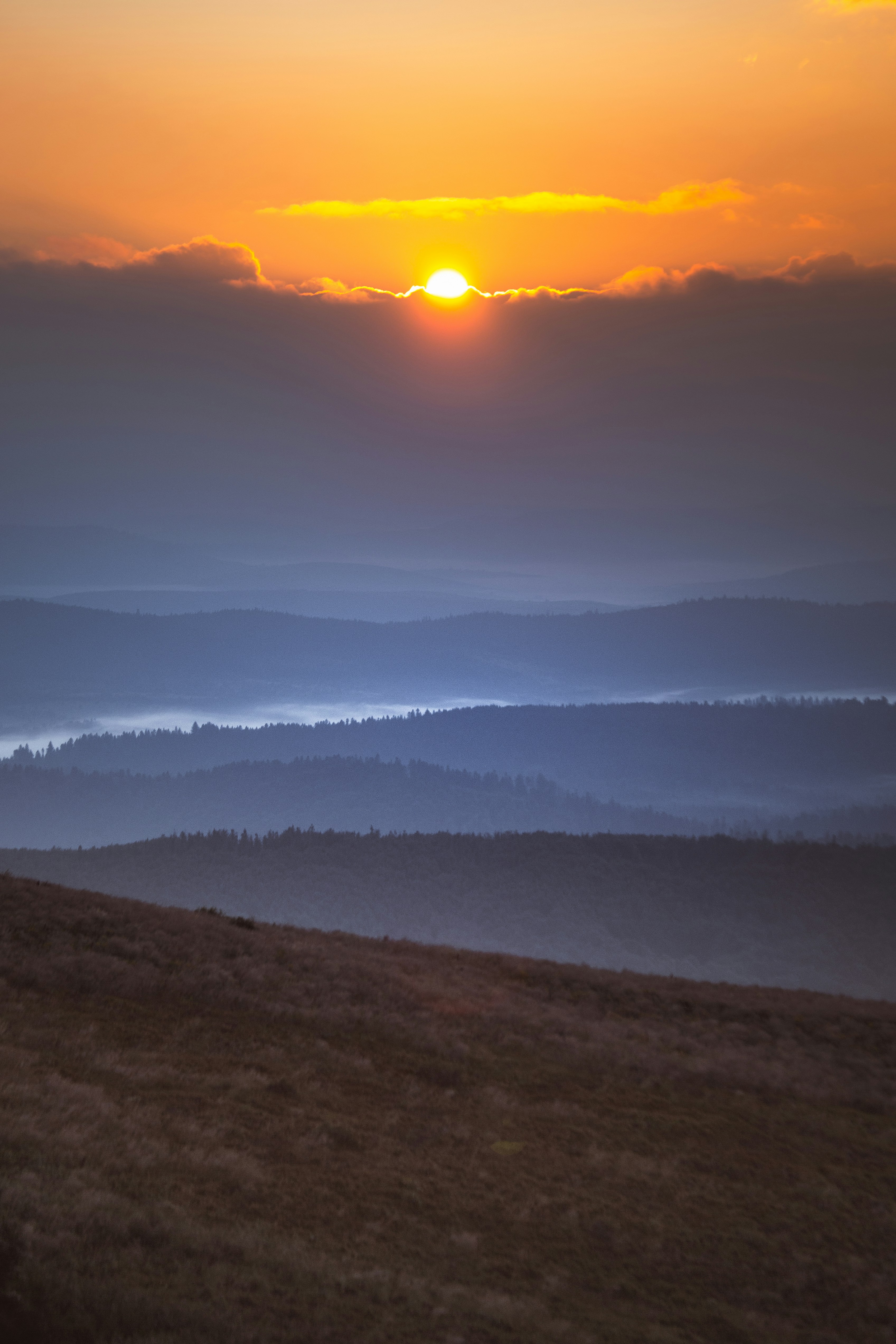 Photo by marekpiwnicki