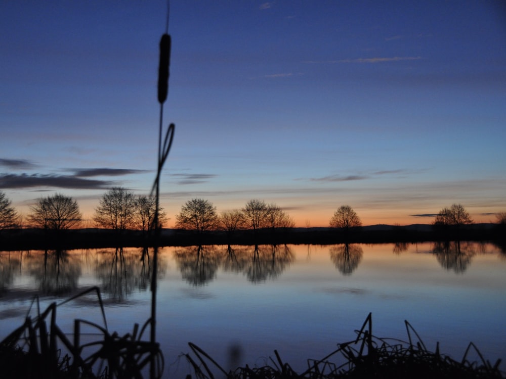 a body of water with trees in the background