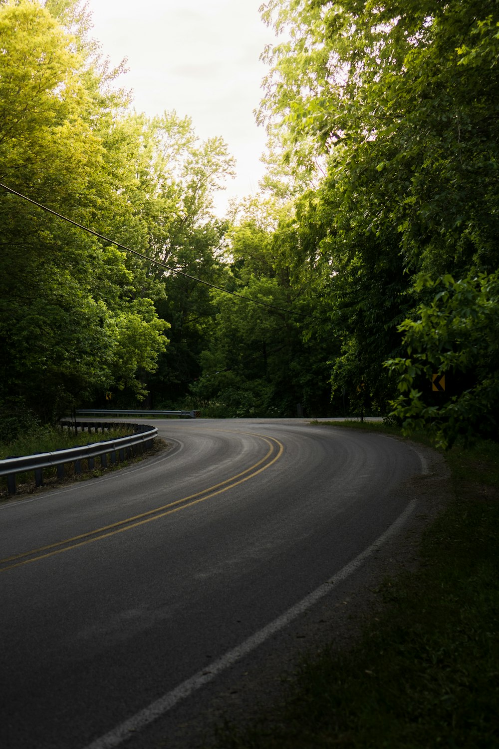 a curve in the road surrounded by trees