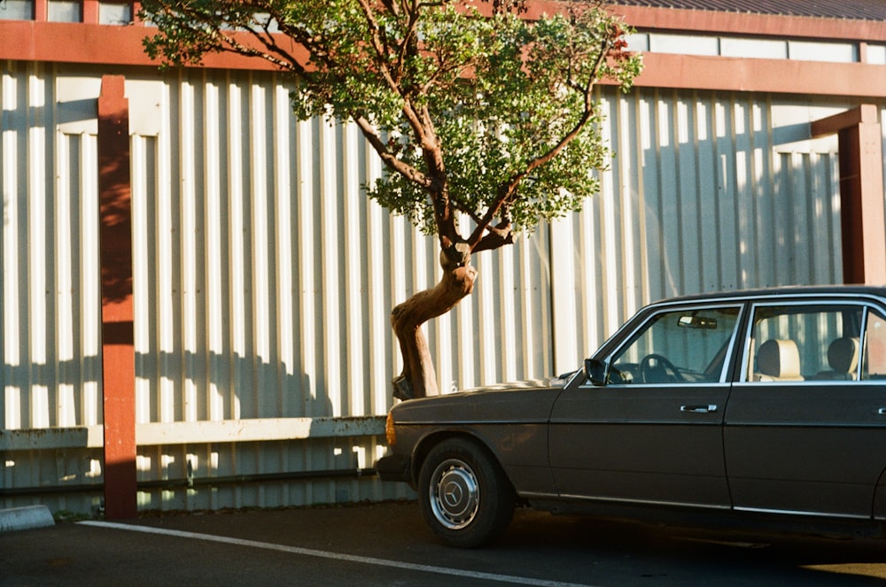 a car parked in a parking lot next to a tree