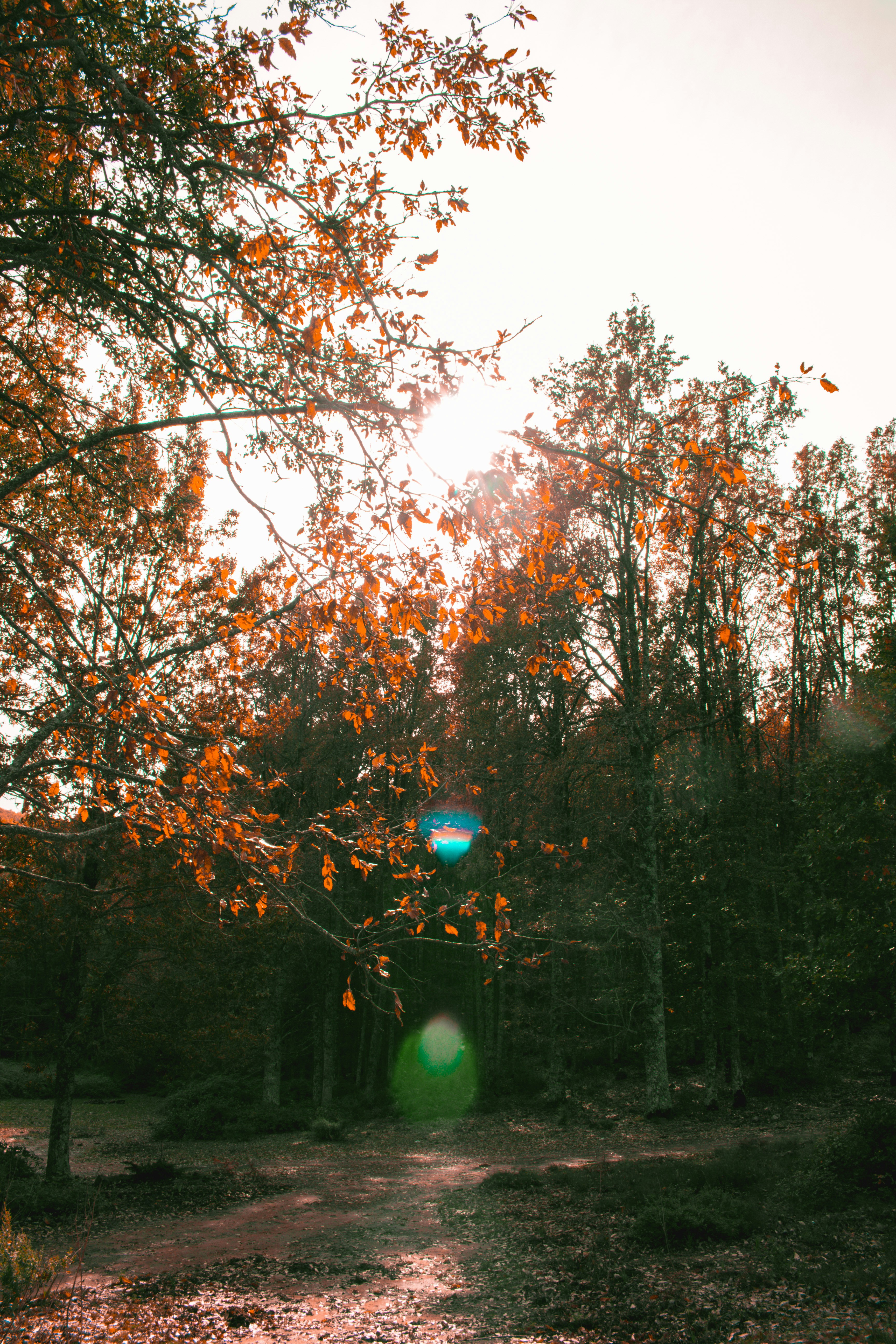 가을 영화 추천 - 이 가을에 꼭 봐야 할 영화들