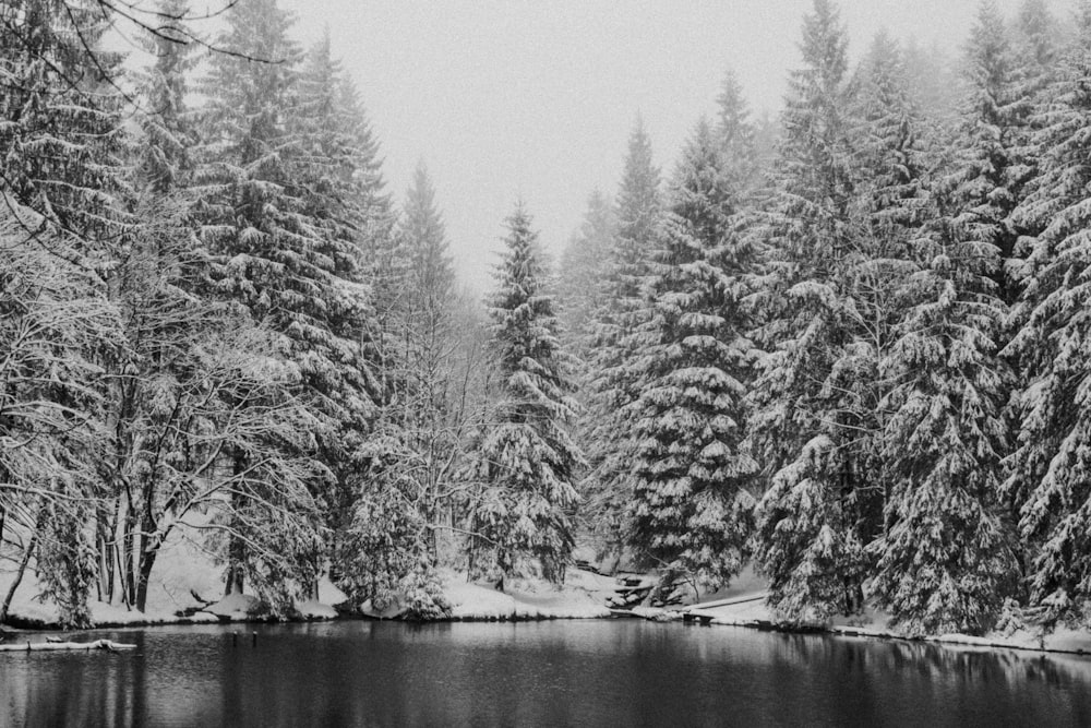 a black and white photo of a lake surrounded by trees