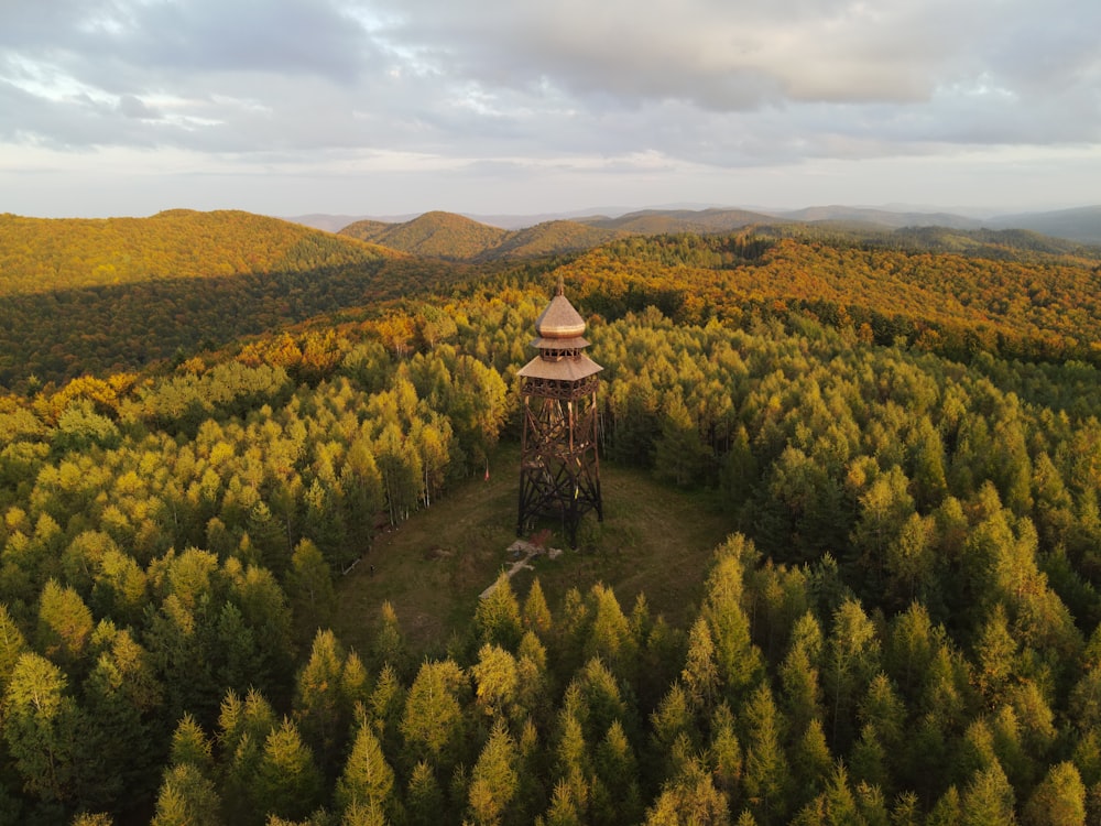 a tall tower sitting in the middle of a forest