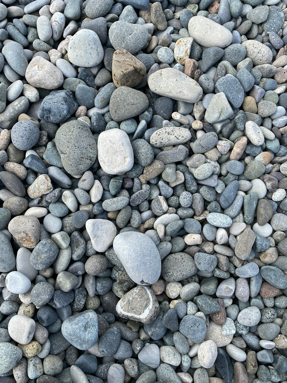 a bunch of rocks that are laying on the ground