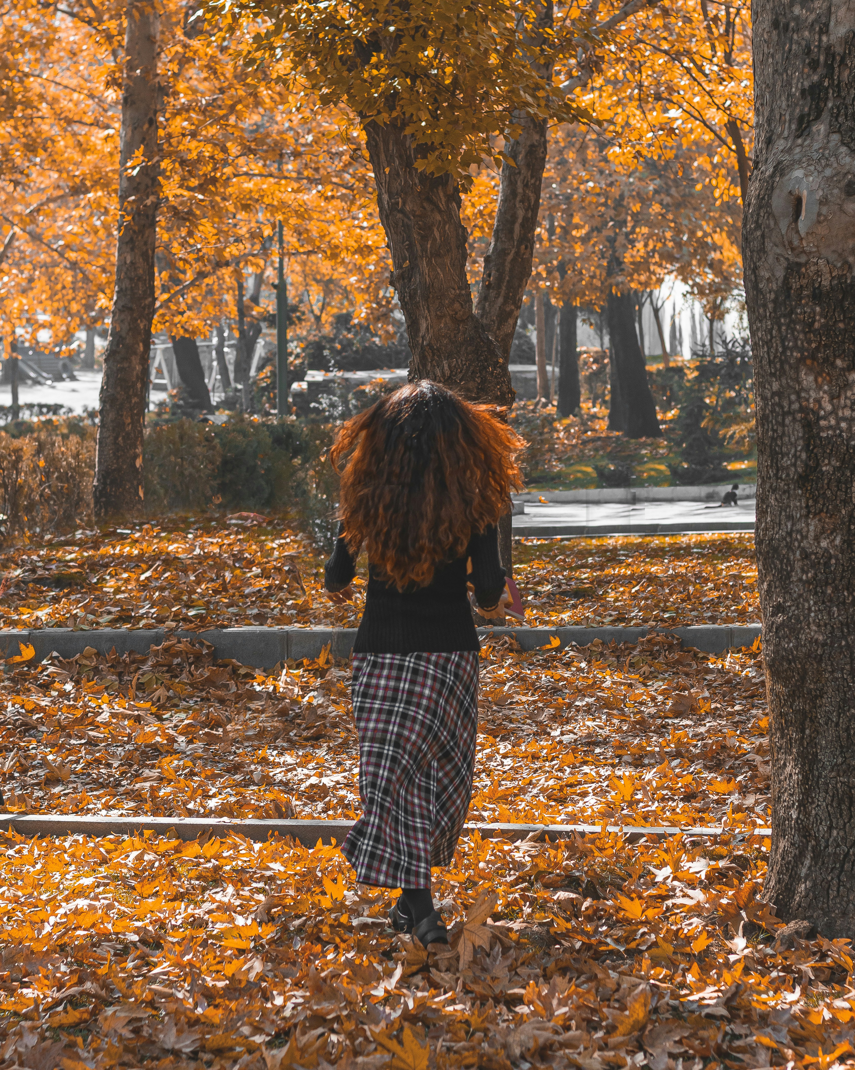 Photo by samahosseini