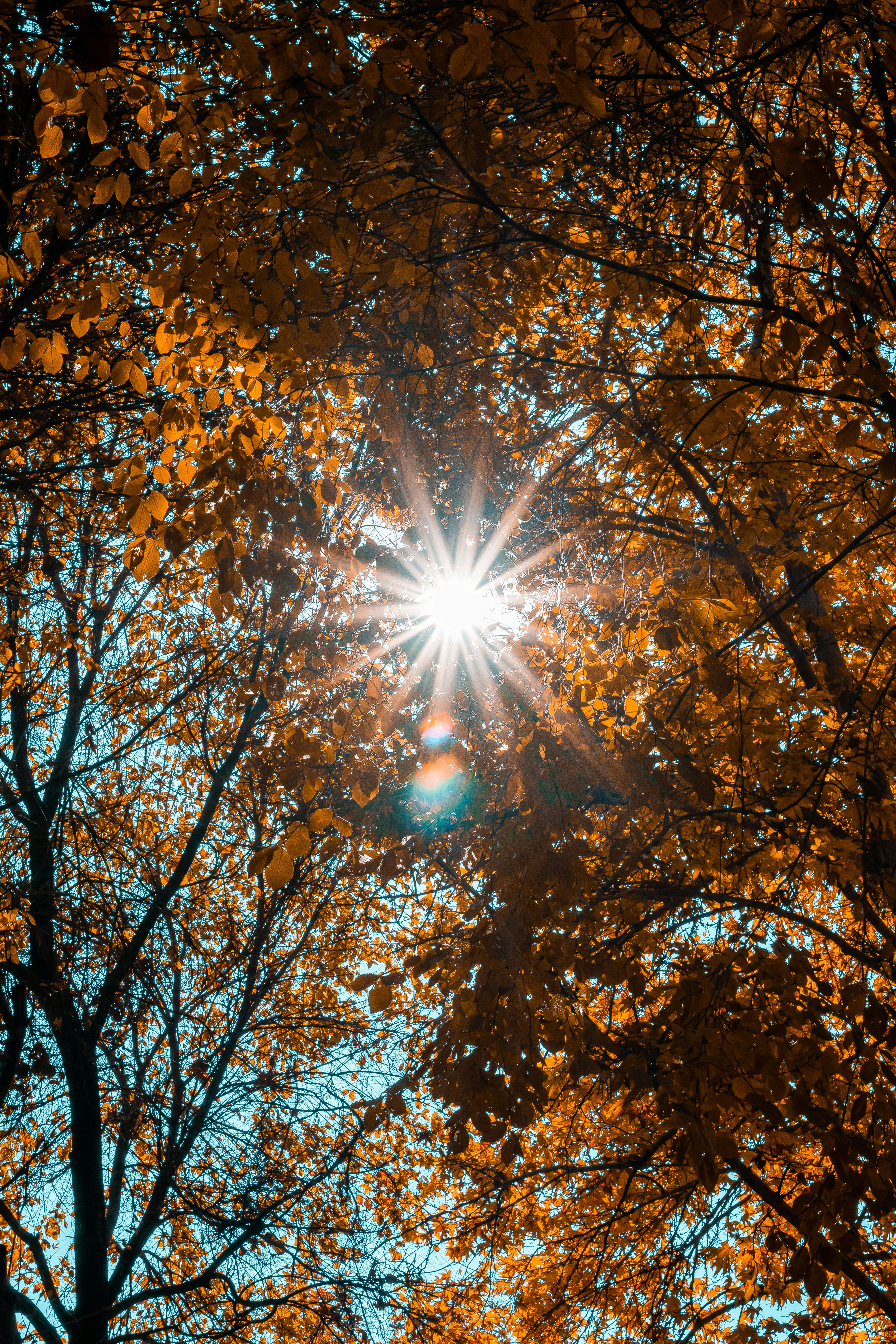 Photo by samahosseini