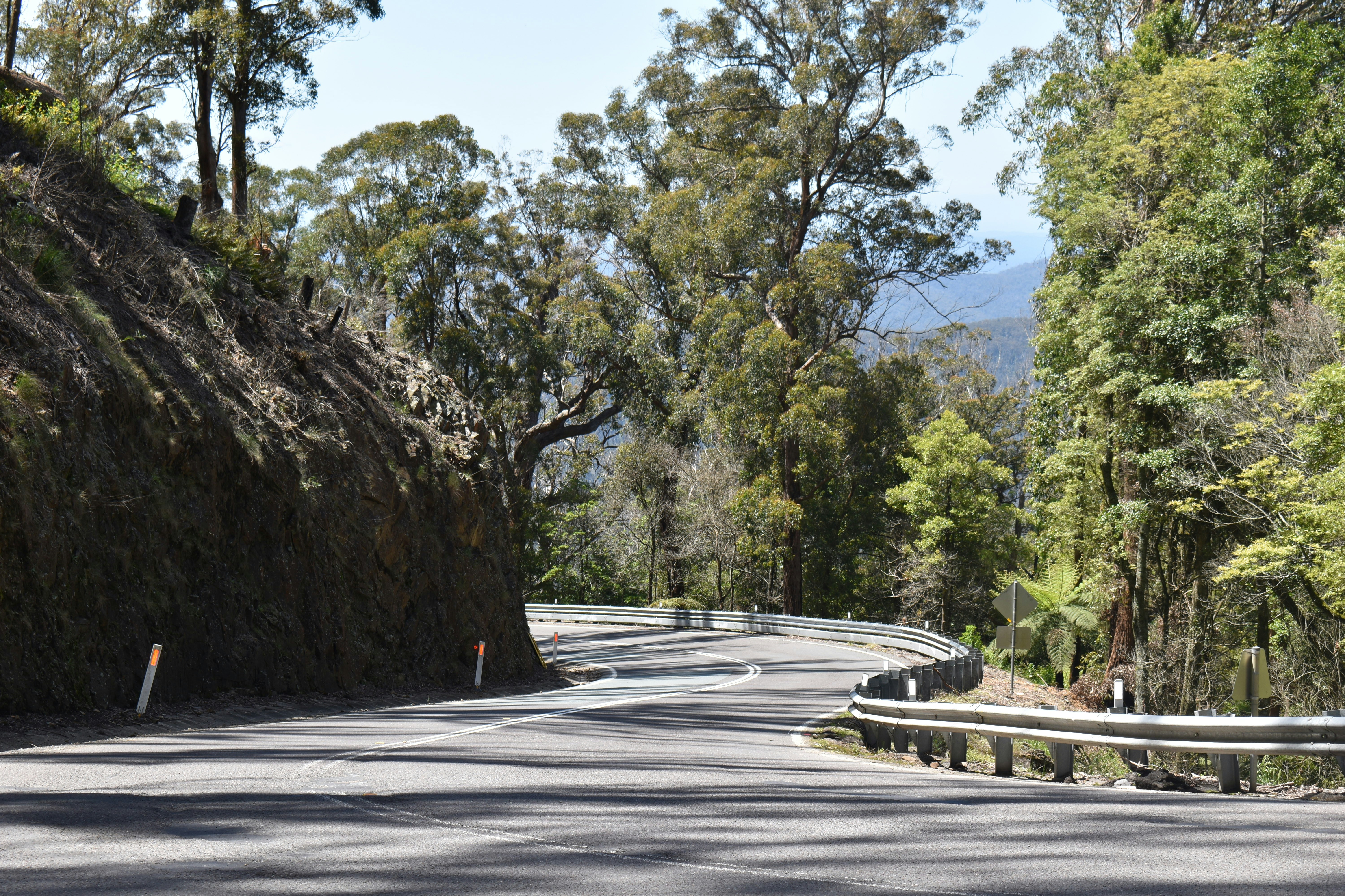 a curved road with trees on both sides