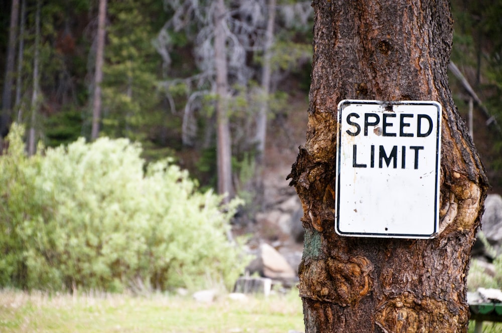 a speed limit sign on a tree in the woods