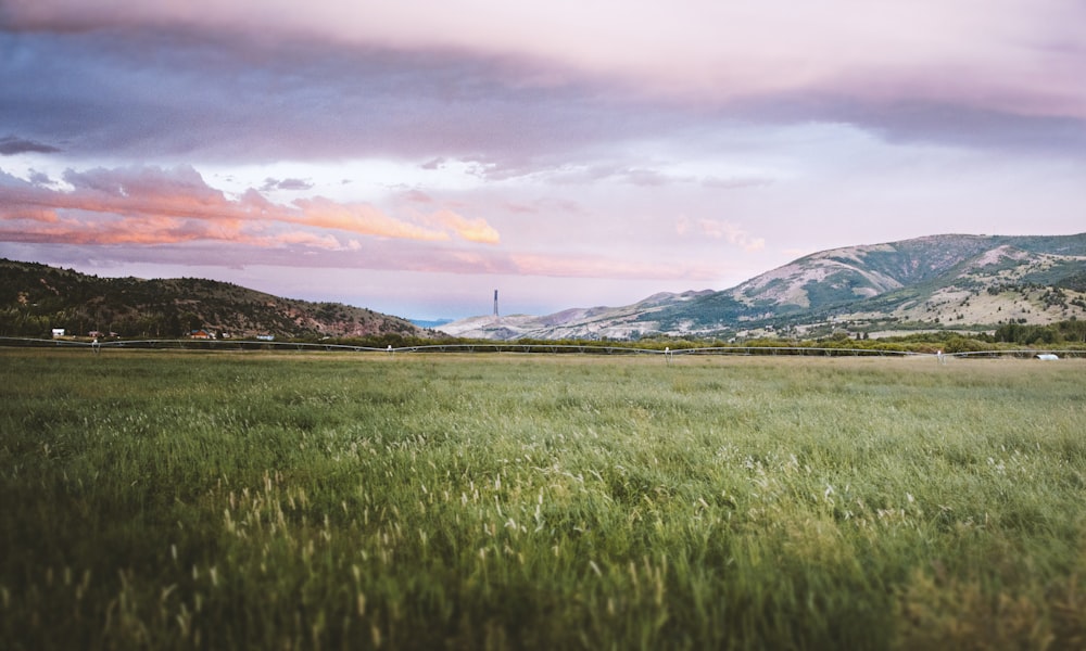 a grassy field with mountains in the background