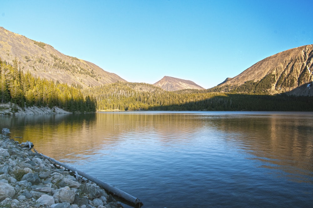 a body of water surrounded by mountains and trees