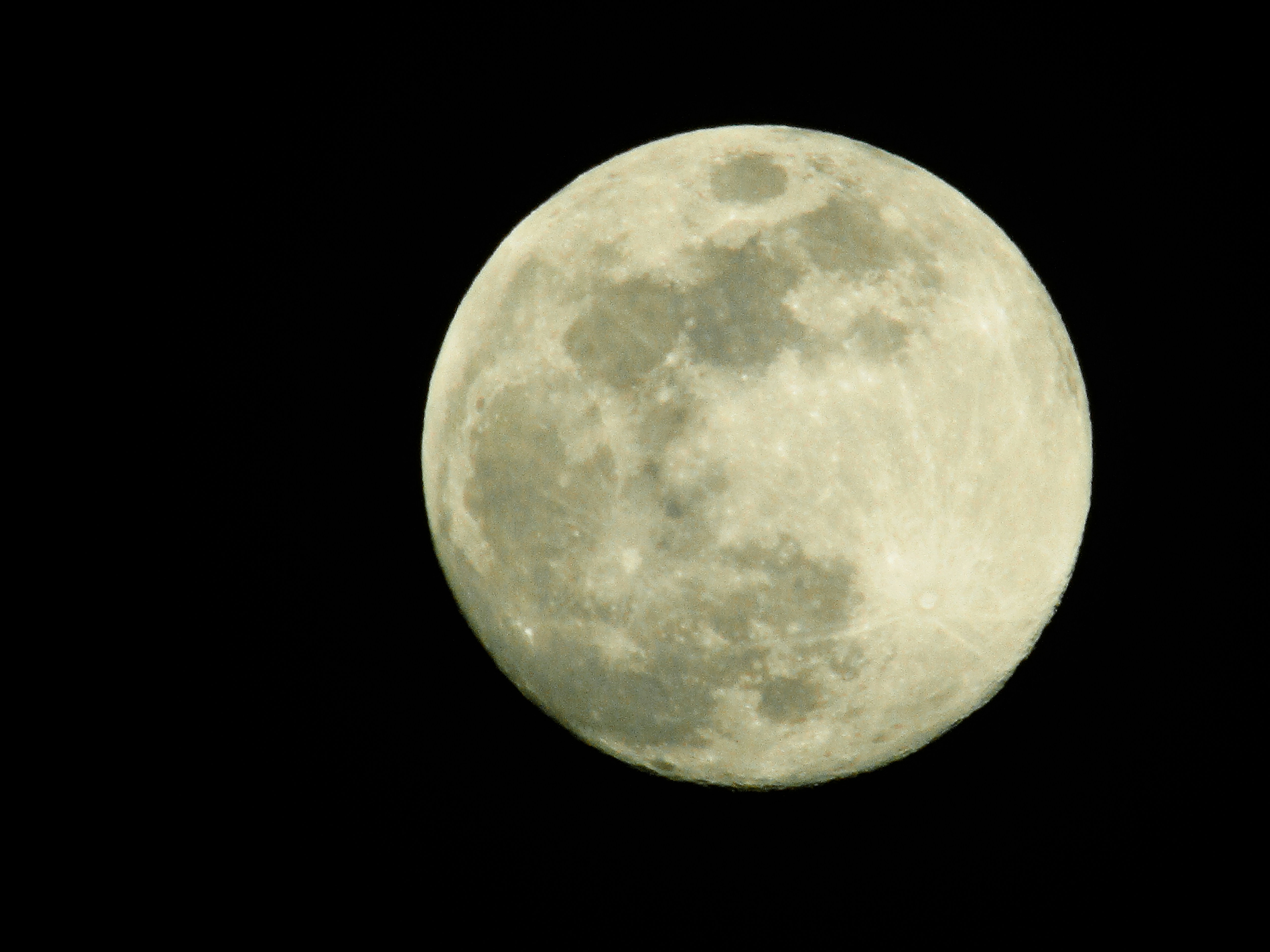 Photo by aleksandramiletic