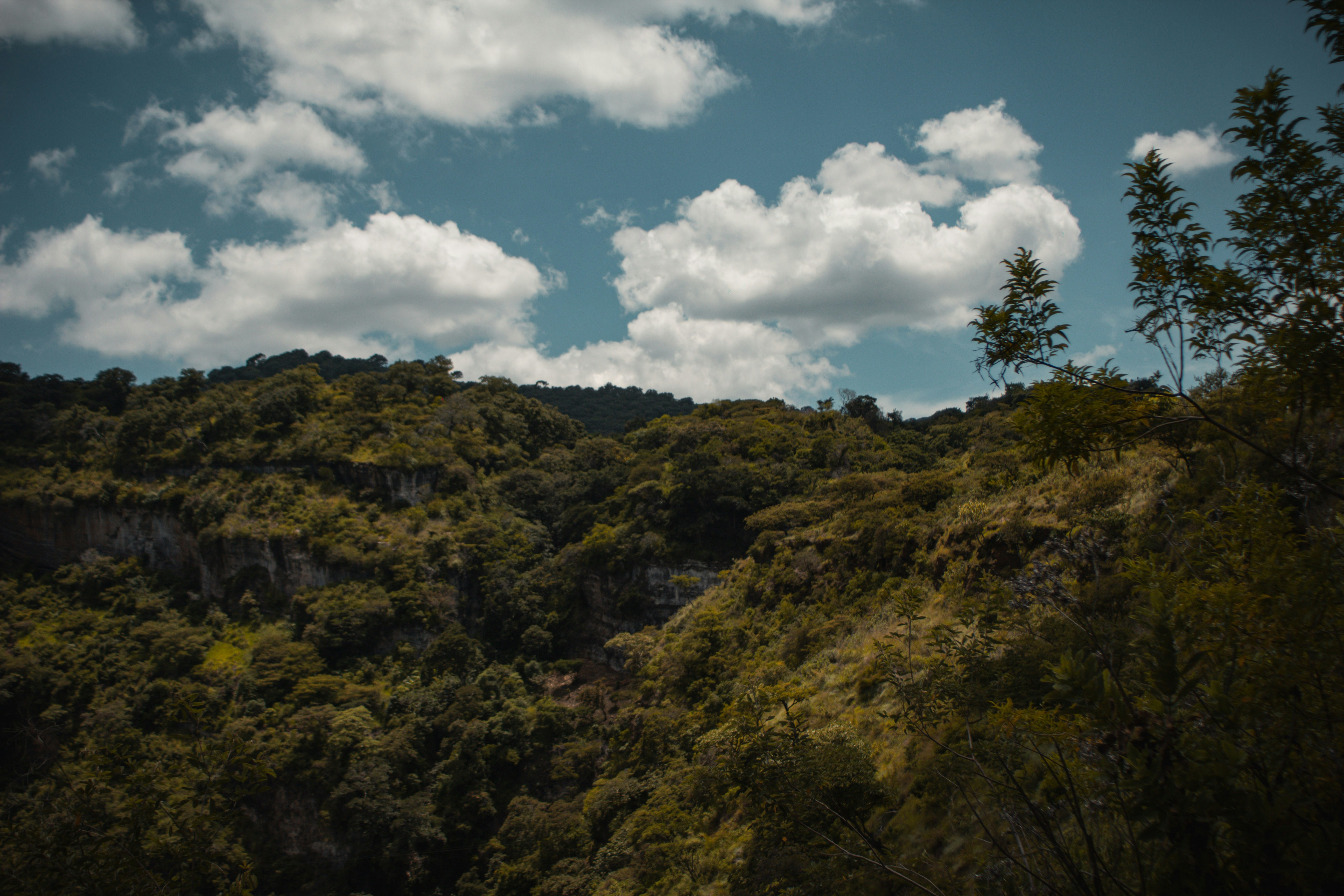 a view of kyoto's mountains with trees and clouds in the sky