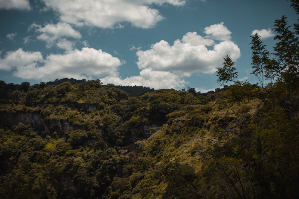 a view of a mountain with trees and clouds in the sky