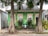 A vibrant, green-painted house with purple accents is flanked by two large trees in the foreground. The house has decorative elements like window trims painted in orange and white, lush greenery with tall plants at the front, and ornamental masks mounted on the wall. A small, white sculpture is centered among the plants.