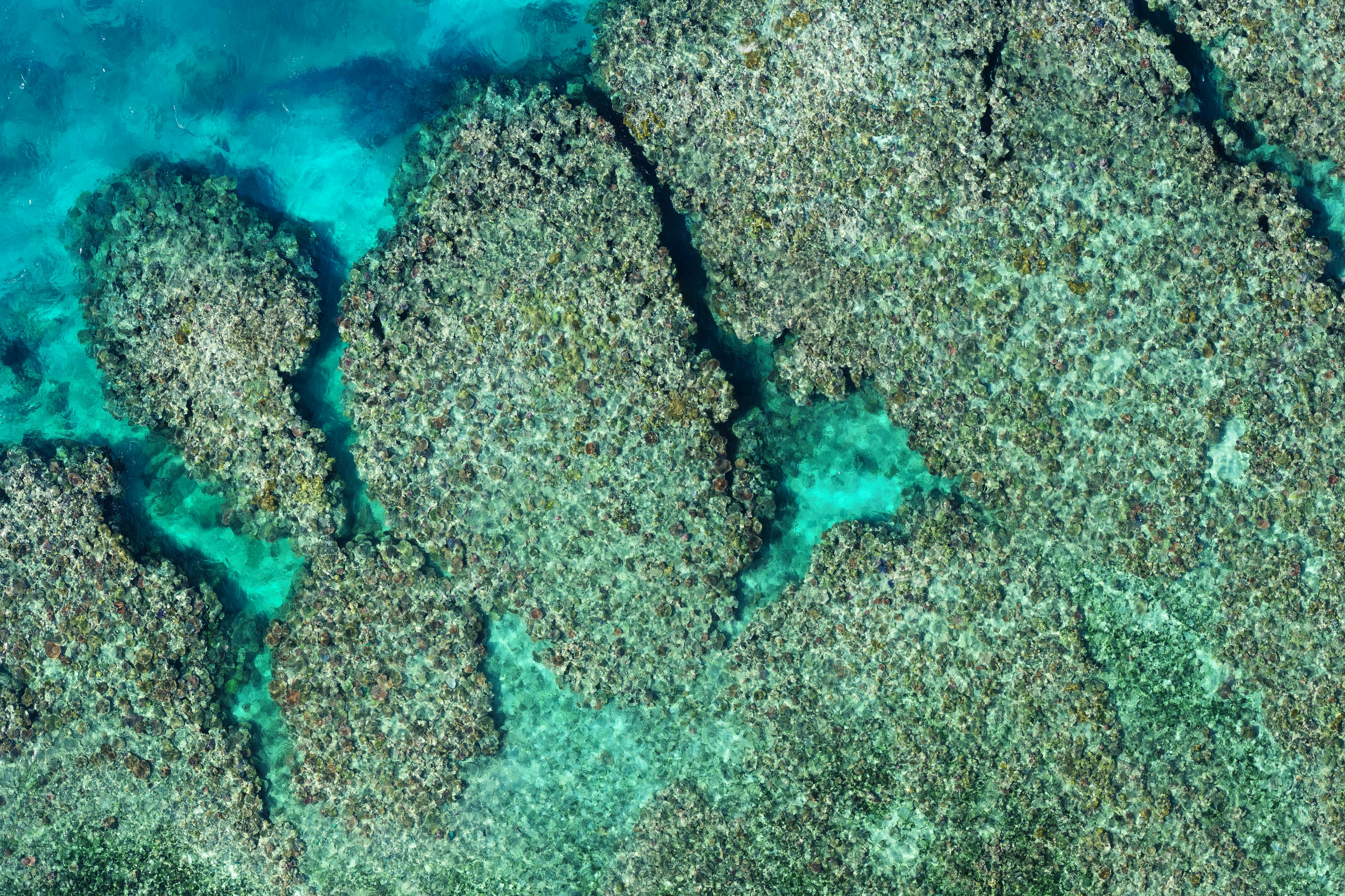 an aerial view of the ocean and land