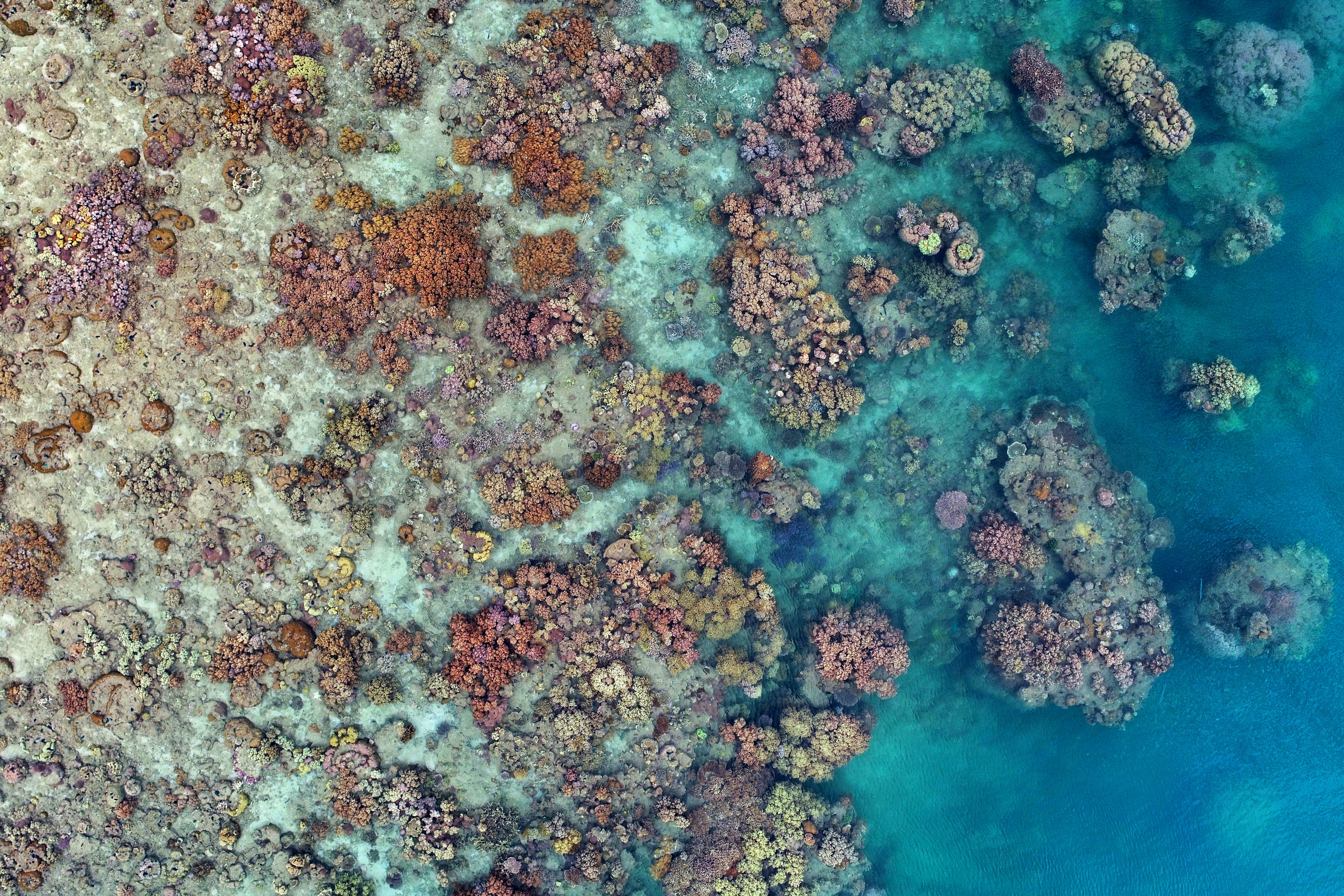 an aerial view of a coral reef in the ocean