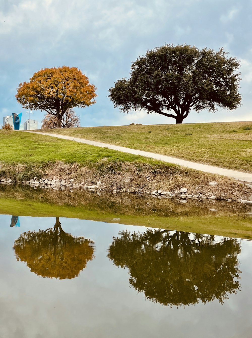 a couple of trees sitting on top of a lush green hillside