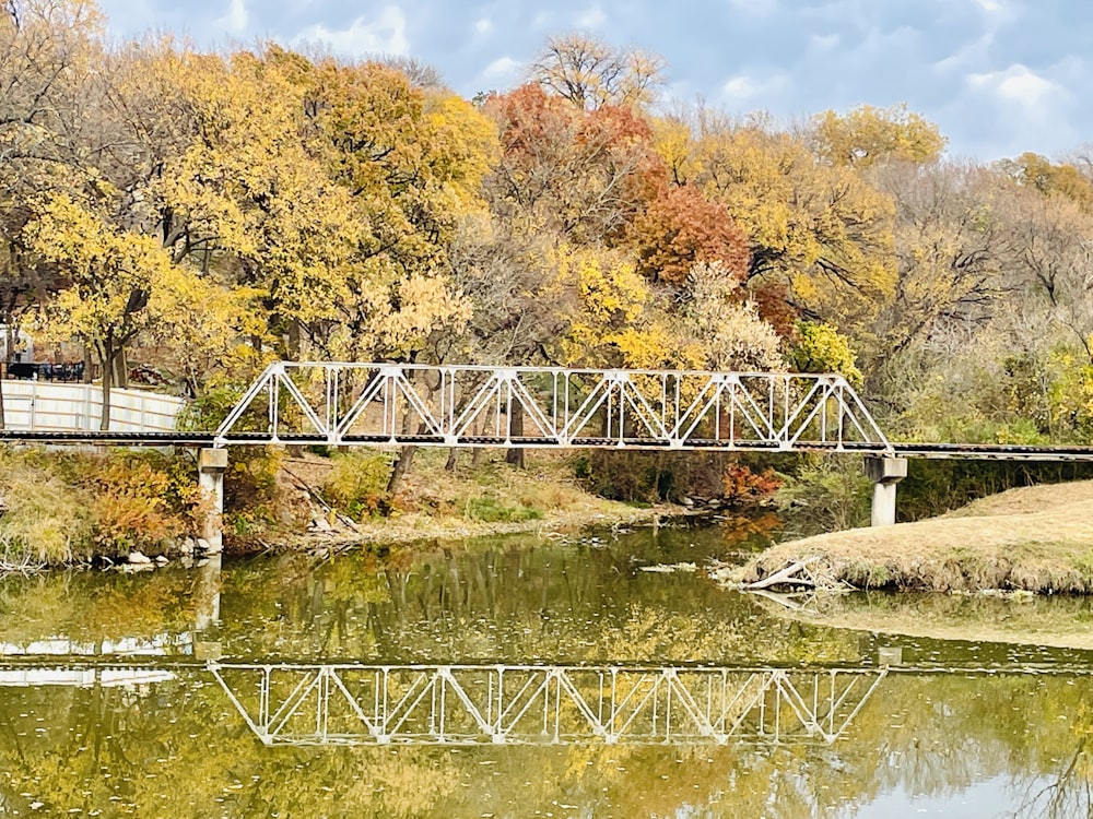 a bridge over a body of water surrounded by trees