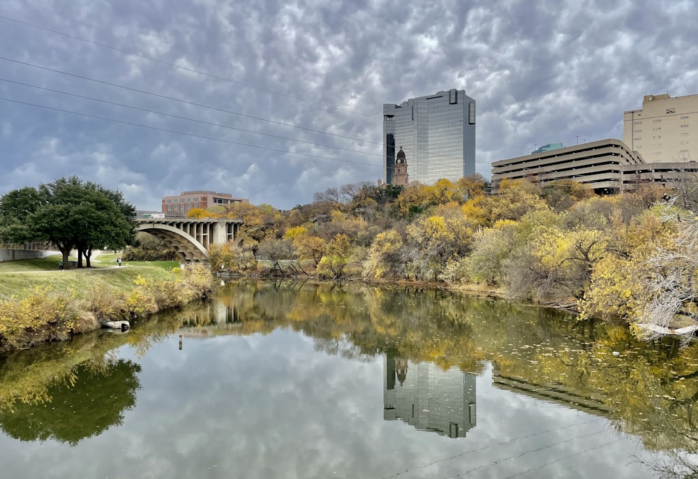 a body of water surrounded by trees and buildings